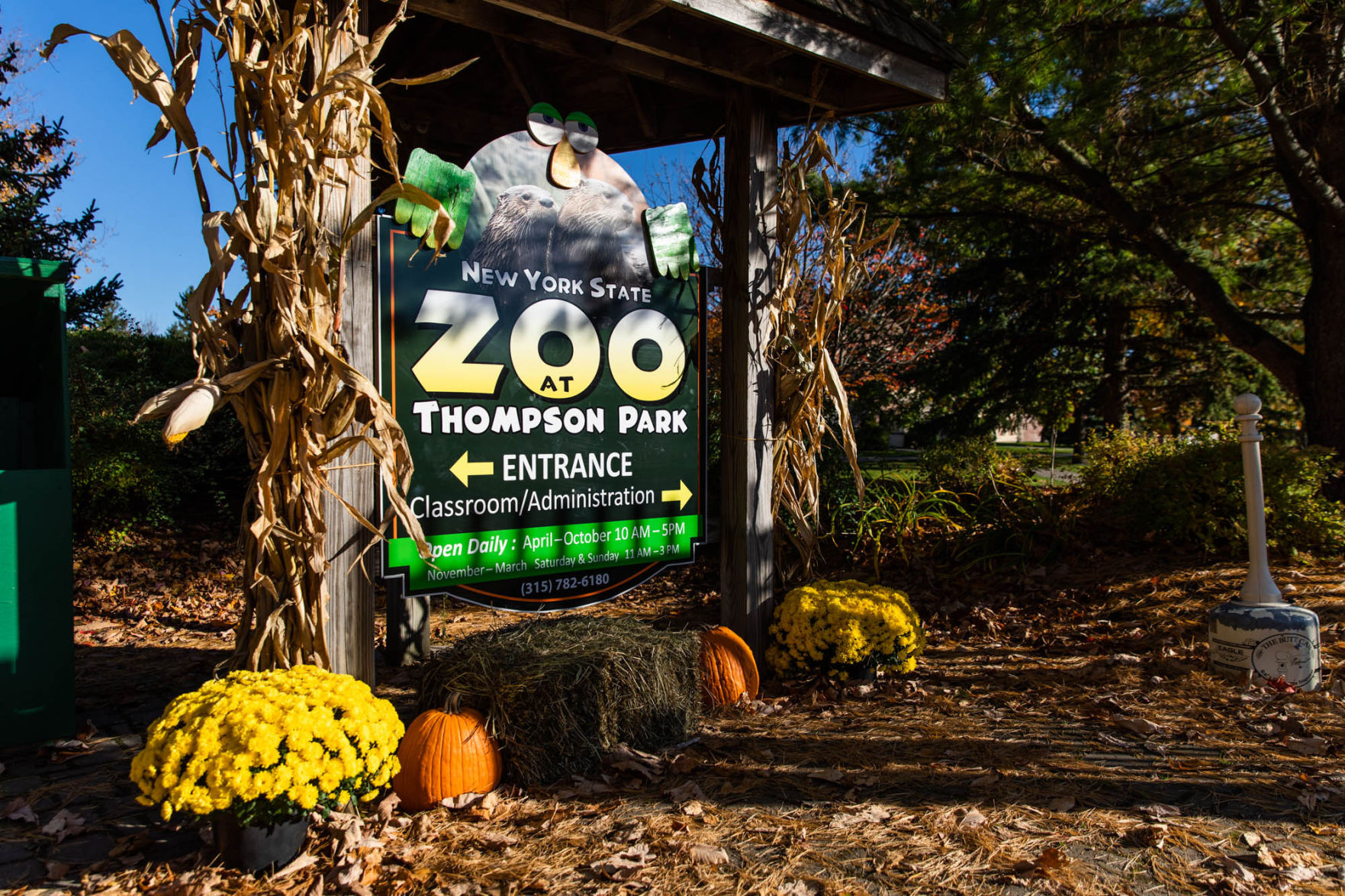 City coming to aid of struggling zoo